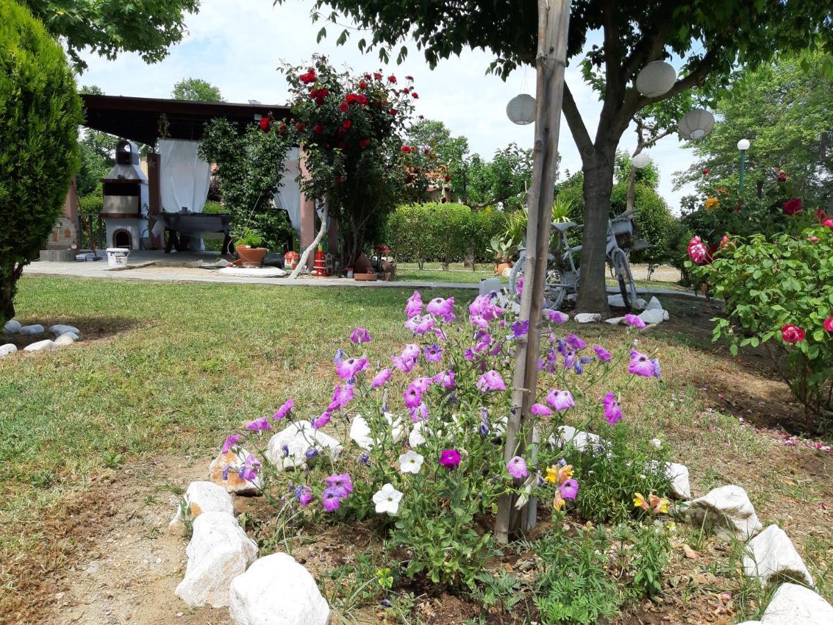 Evgenia Maisonette Ierissos Exterior photo